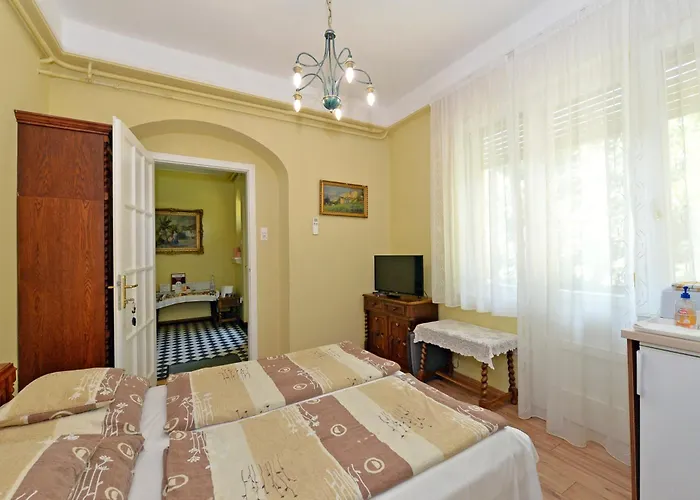 Zsofia 公寓 巴拉顿菲赖德